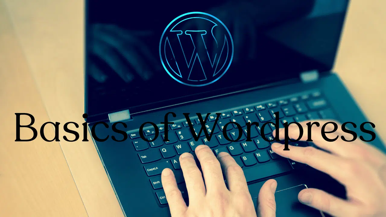 Basics of WordPress 1